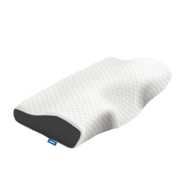 Evergreen Homes Pillows