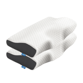 Evergreen Homes Pillows