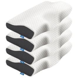 Evergreen Homes Pillows